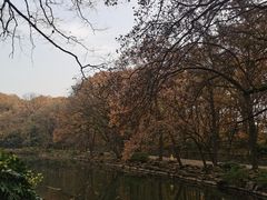 -灵谷景区