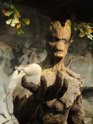 -Zoolung Zoolung动物主题公园(海信广场店)