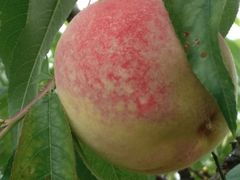 -千峡湖生态旅游度假区