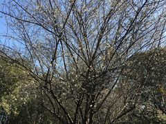 -福建鲤鱼洲酒店