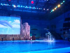 -华夏文旅海洋公园