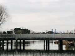 -贡湖湾湿地公园