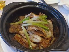 -锦粤宫·精致粤菜(阳西店)