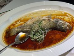 -广东道至正餐厅(区庄店)