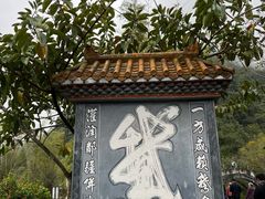 -靖西鹅泉风景区