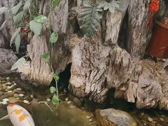 -丰圆轩粤式茶楼 . 点心粤菜(夏茅店)