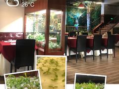 大堂-Bistro181 (大渔湾店)