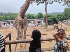 -大连森林动物园