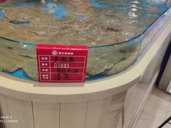 -普天和酒楼·新津菜·烤鸭(天津之眼店)