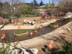 景点-大连森林动物园