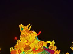 -桐乡凤凰湖