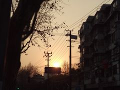 -晶牌烤鸭(延吉东路557弄小区店)