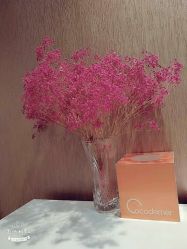 -Cocodemer女性健康·产后恢复(天一广场店)