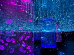 -波塞冬旅游度假区