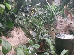 -滕头生态酒店(奉化店)