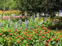 -长春公园(普阳街道)