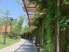 -狼山风景名胜区