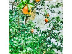 -天幕新彩云国际影城(激光巨幕店)