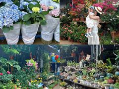 -桂林市花鸟市场