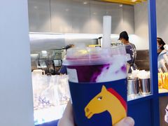 -春丽小马(济南恒隆广场店)