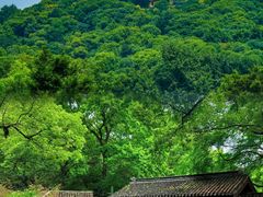 -惠山古镇·寄畅园