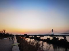 -芒洲湿地公园