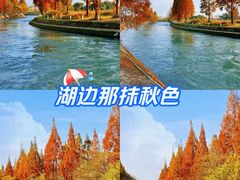 -蜀绣公园