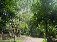 -Bamboo Saturday Market(Nana Jungle)