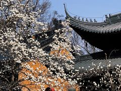 -灵谷景区
