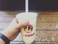 -一只酸奶牛(八一路店)