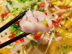 -李双猪·小龙虾·烧烤·羊肉煲(乐山店)