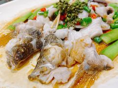 -猪肉婆私房菜(容桂总店)