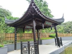 -雨花胜境