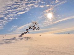 -塞罕坝国家级自然保护区