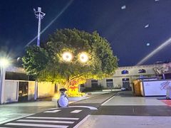 -巨鹏飞梦幻海岸