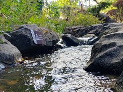 -广州神农草堂中医药博物馆