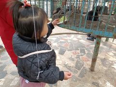 -荆州中山公园动物园