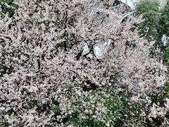 -杭州黄龙洞