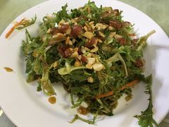 凉拌苦菊-青岛锅贴(四流中路店)