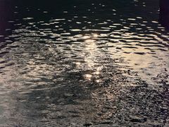 -鹿亭中村