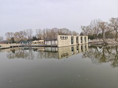 -石家庄市植物园