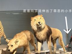 -上海自然博物馆