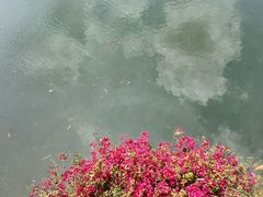 -深圳龙潭公园