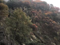 -沣峪口