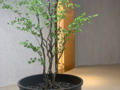 -HUG·拥抱咖啡(郑州宝龙广场店)