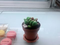 -CHEZ JASMINE 茉莉的氧气厨房