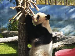 -鄂尔多斯野生动物园