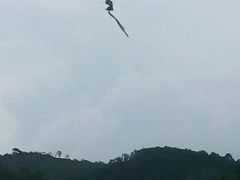 -四会奇石河风景区