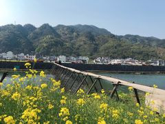 -绩溪龙川景区
