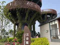 -芒洲湿地公园